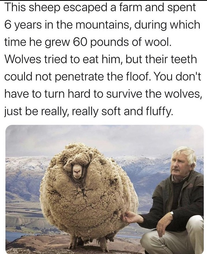 1744497956253.png