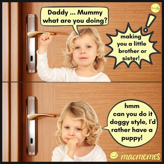 1744663667495.png