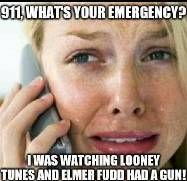 1744667239792.png