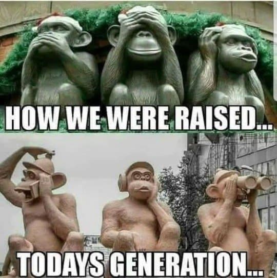 1745012145477.jpeg