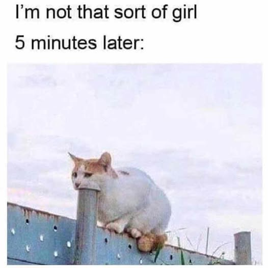 1745090777445.png