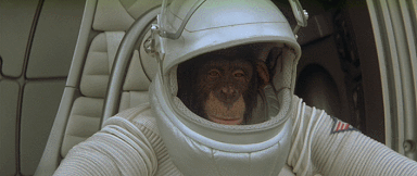 1745171780409.gif