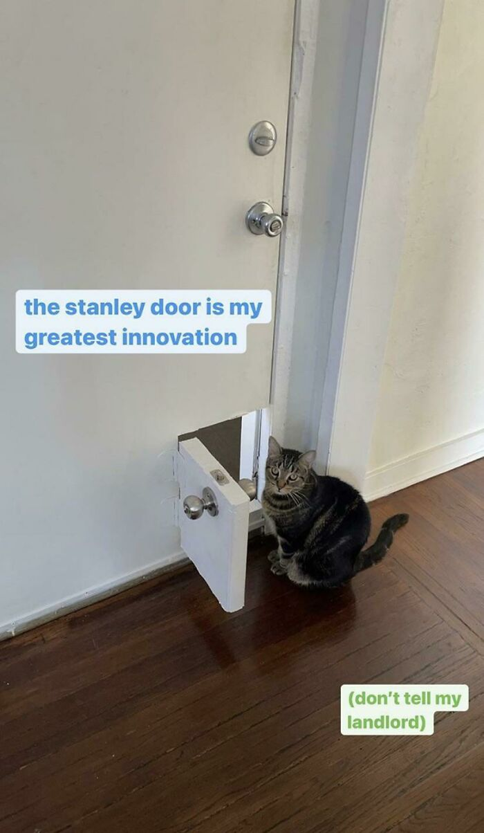 1745190224710.png
