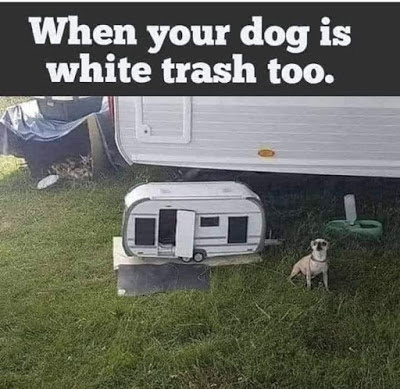 1745233966507.png