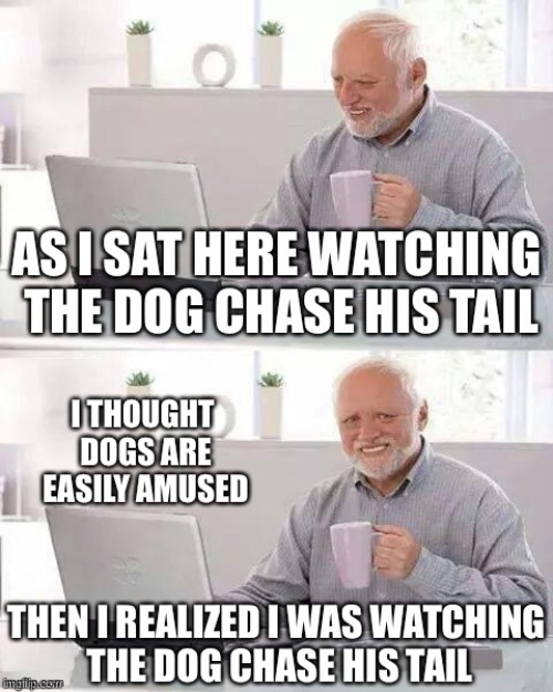 1745318972259.png