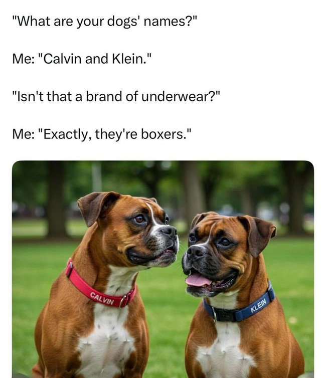 1745329039858.png
