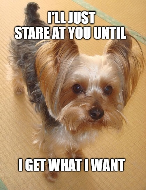 1745506838971.png