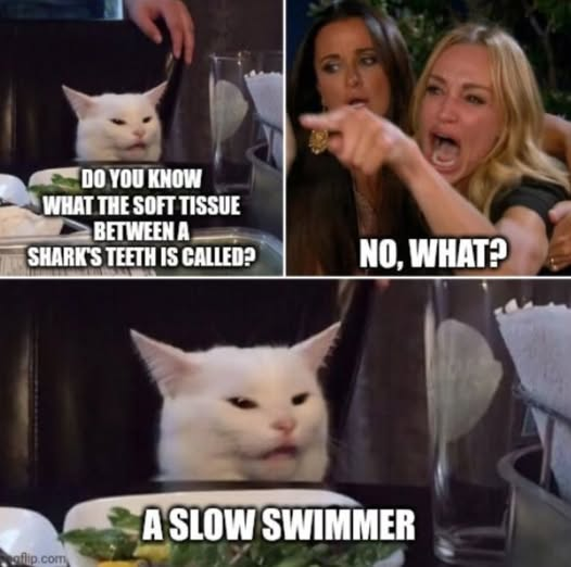 1745586363804.png