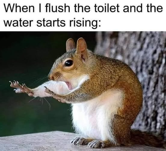 1745589343517.png