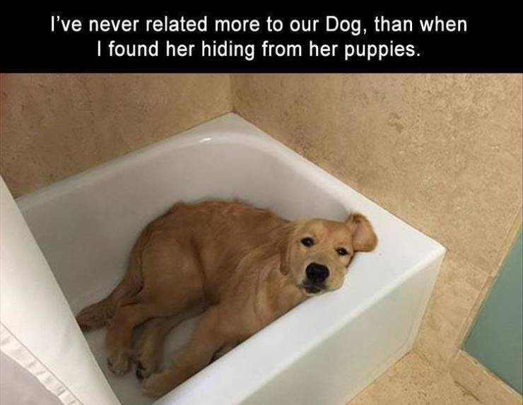 1745606174382.png