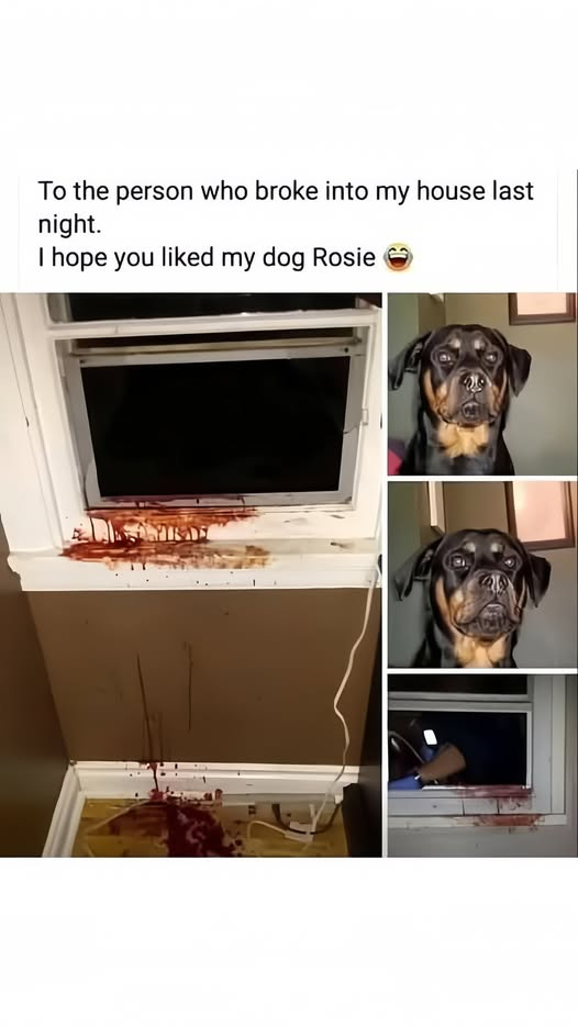 1745872411149.png