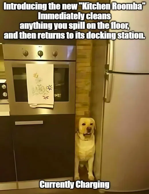 1745916498681.png