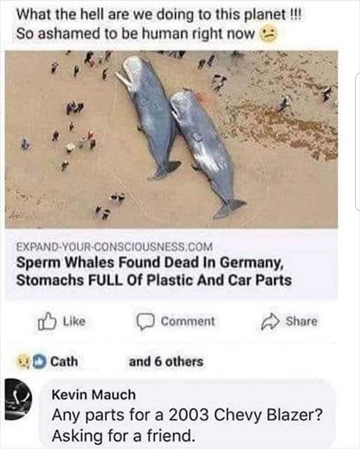 1745968017033.png