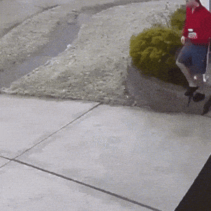 1746024999479.gif