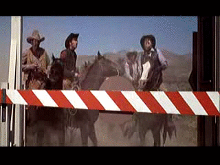 1746025511680.gif