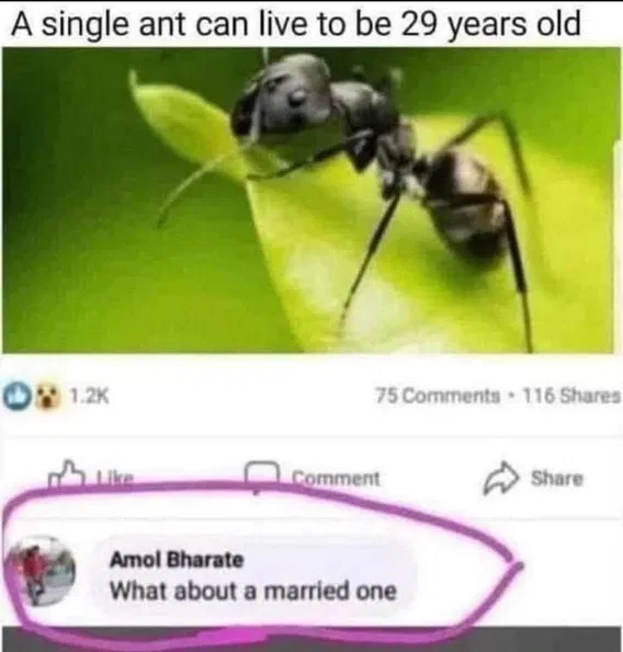 1746060268513.png