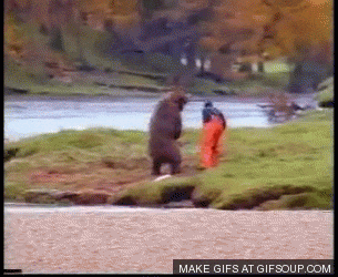 1746544904136.gif