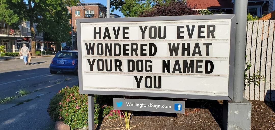1746708221197.png
