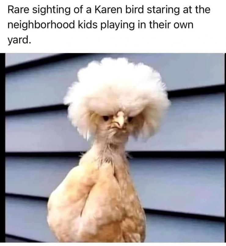 1746880498059.png