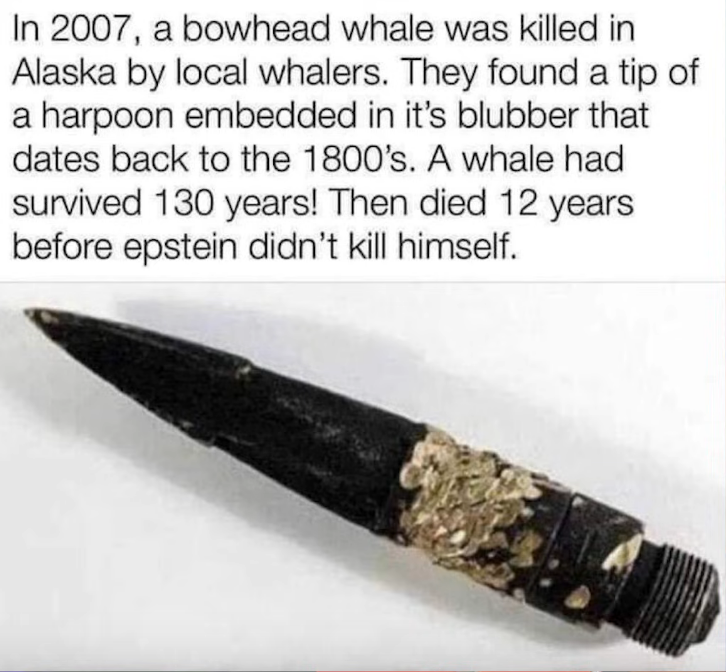 1746999829398.png