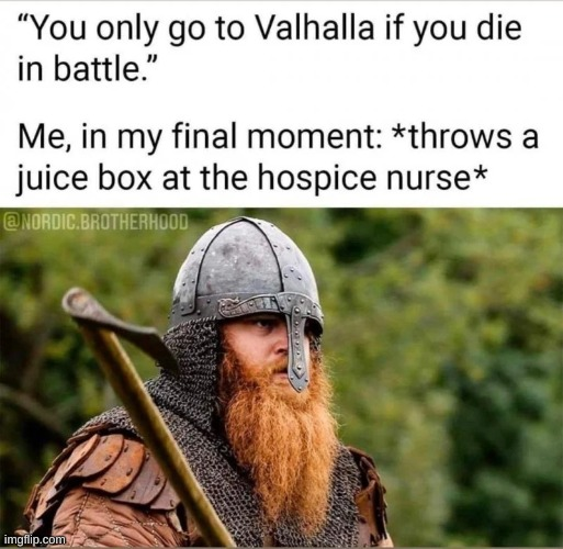 1747222811464.png