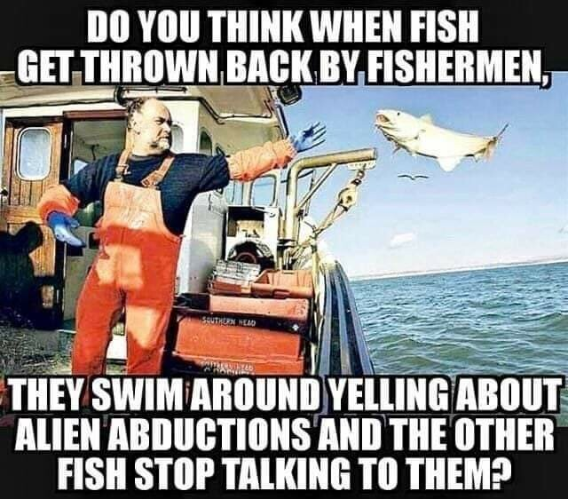 1747222955169.png
