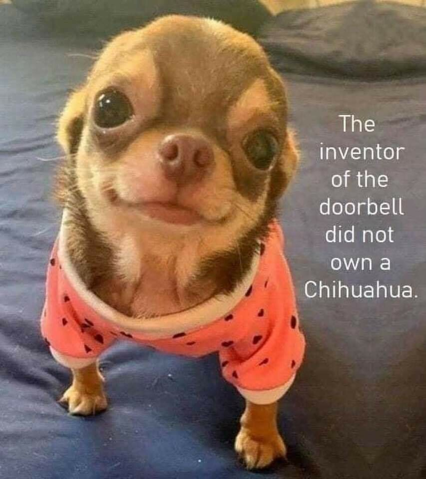 1747335828081.png