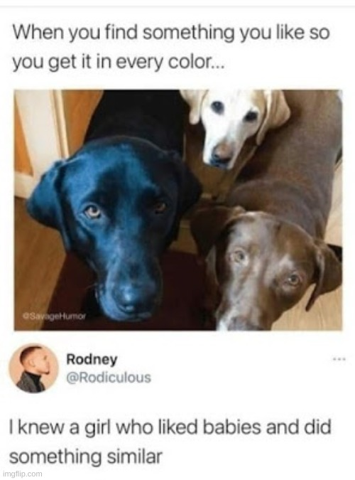 1747335931101.png