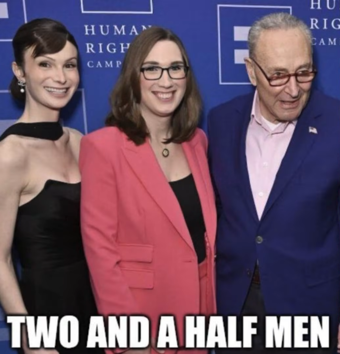 1747438072087.png