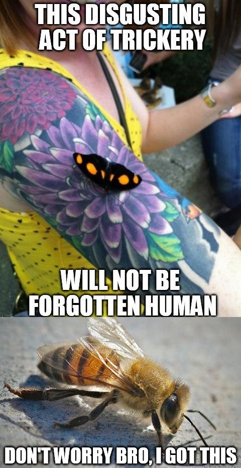 1747626870124.png