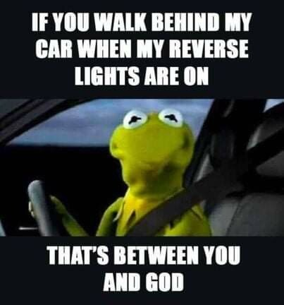 1747660385389.png