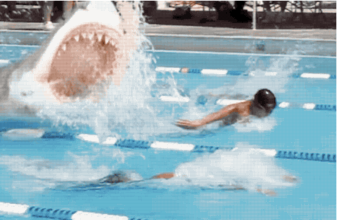 1747666732565.gif