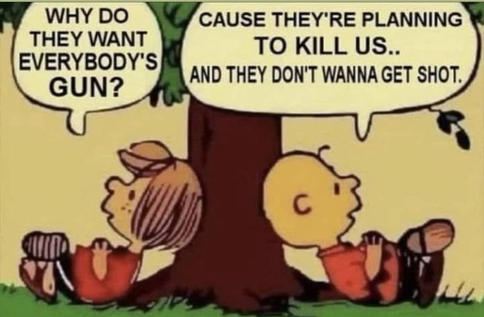 1747683732233.png