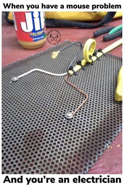 1747746254485.png