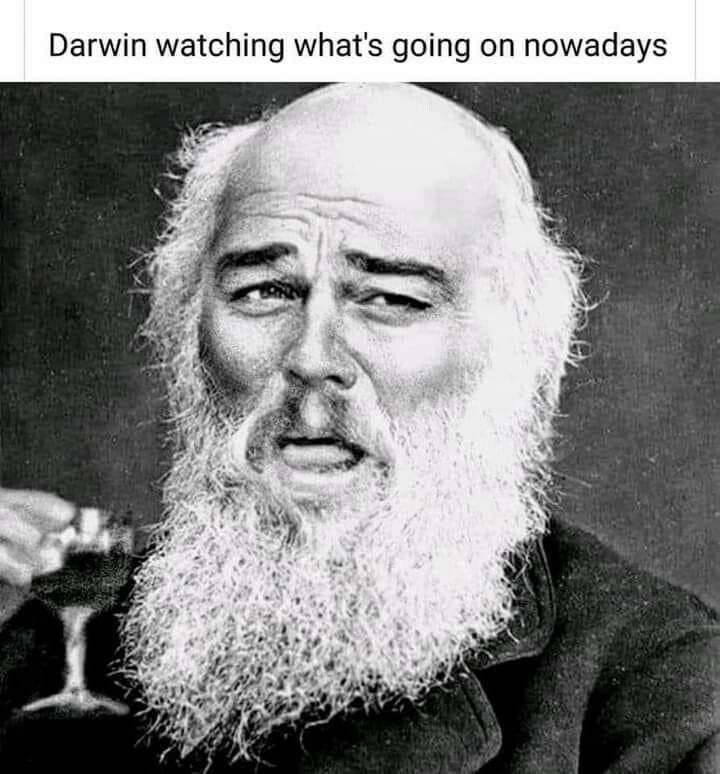 1747746345265.png