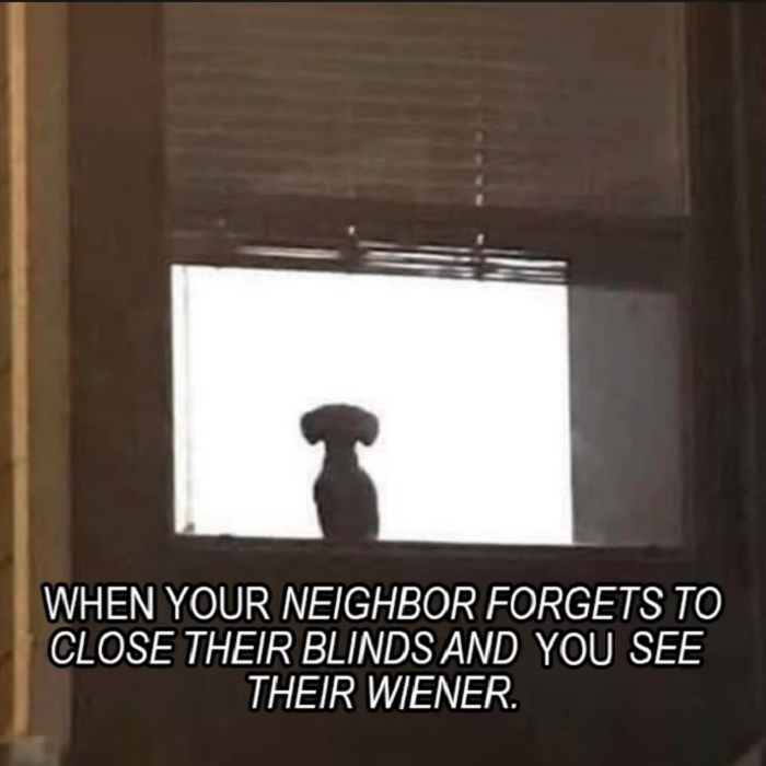 1748043996104.png