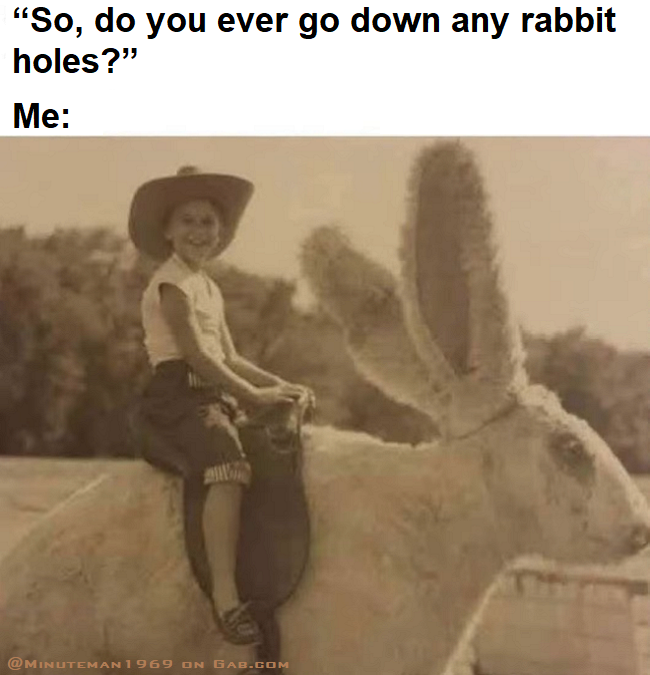 1748052952747.png