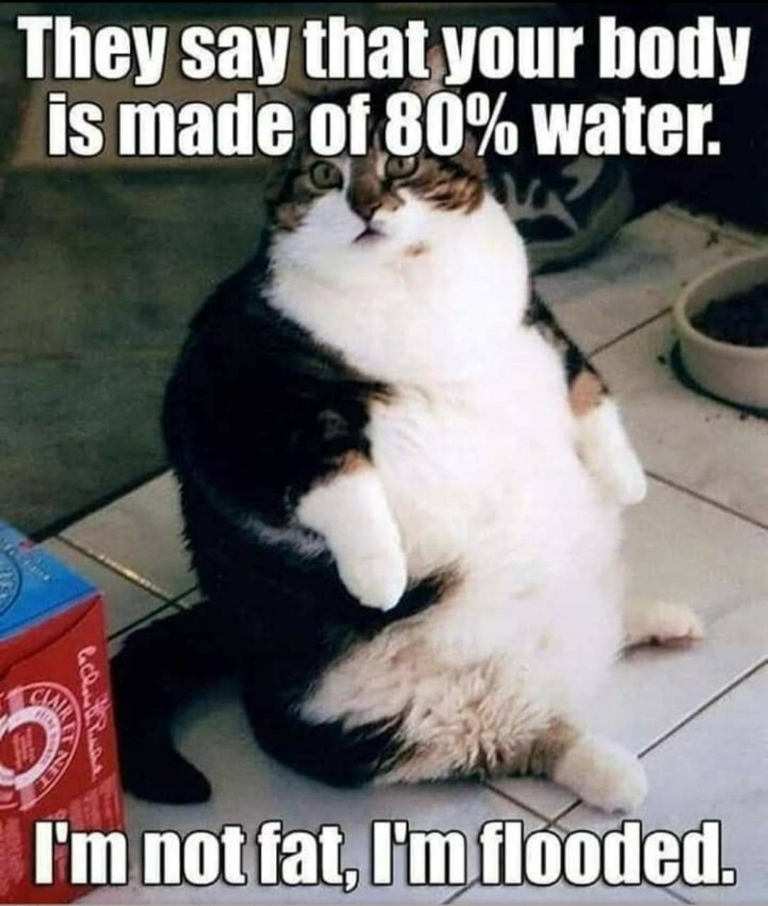 1748176067143.png