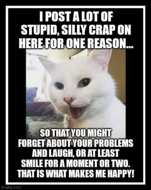 1748288520063.png