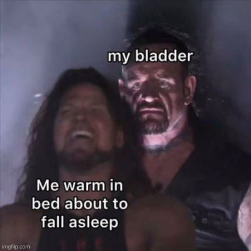 1748369935225.png
