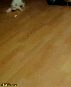 1748453546556.gif