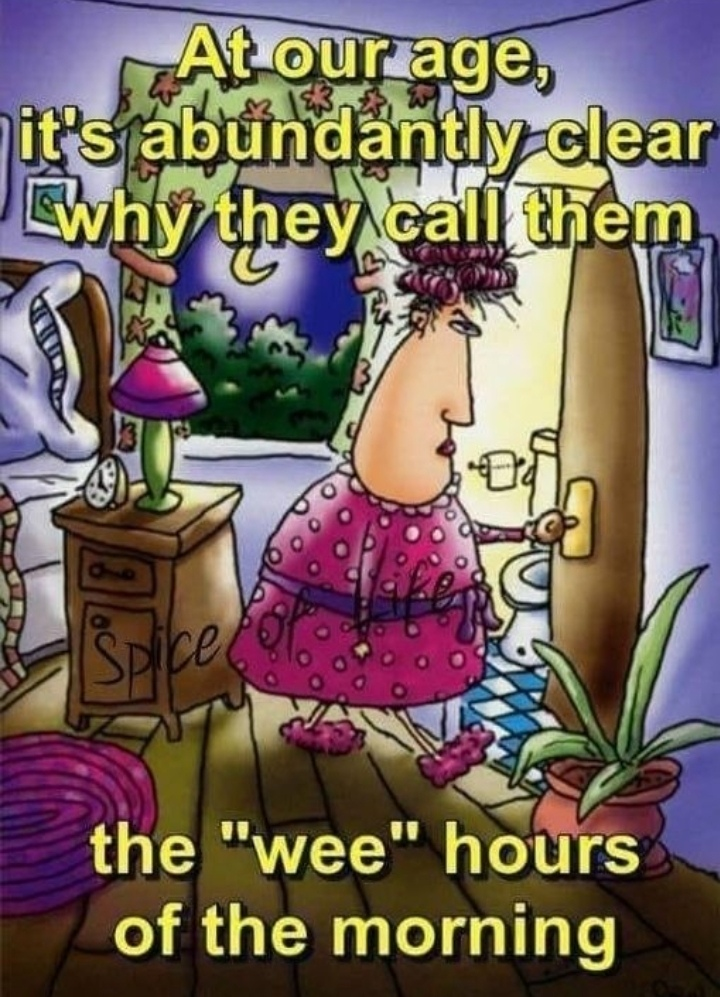 1748516617752.png