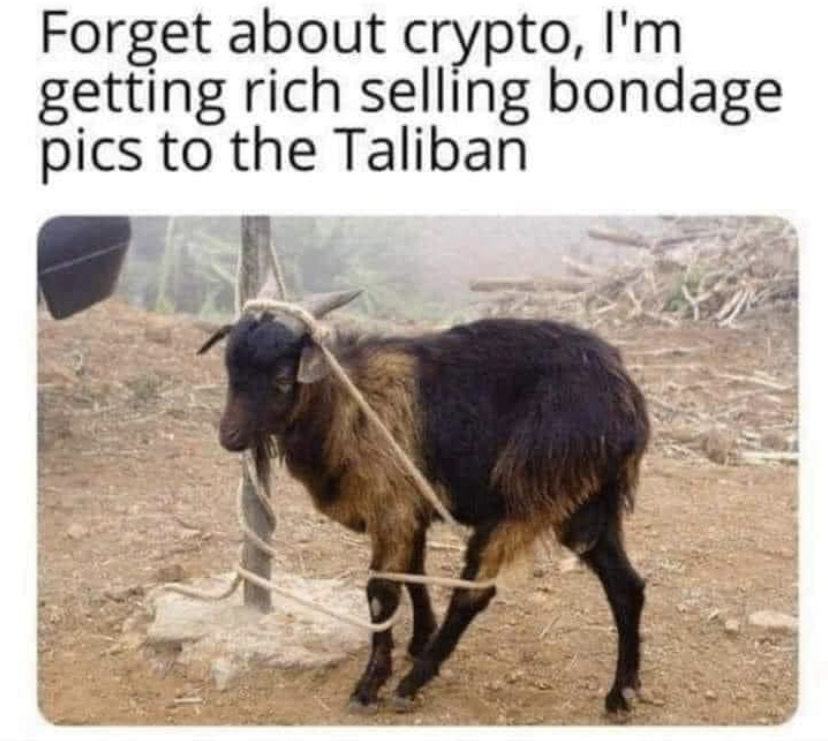 1748546717818.png
