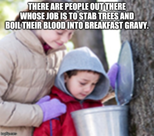 1748624498965.png