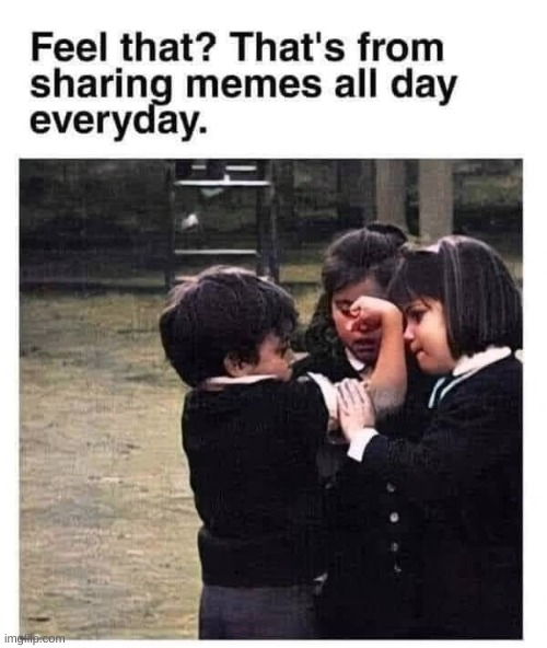 1748624561073.png