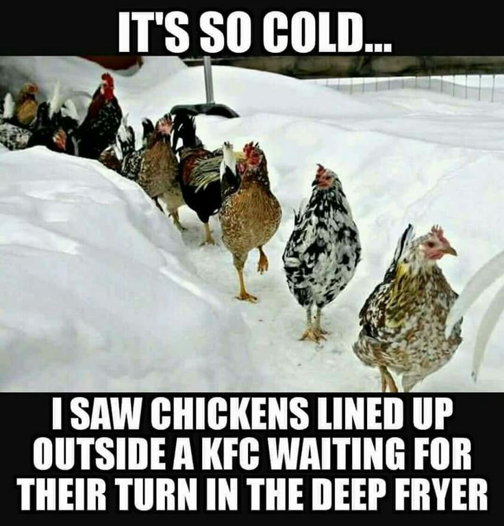 1748657918215.jpeg