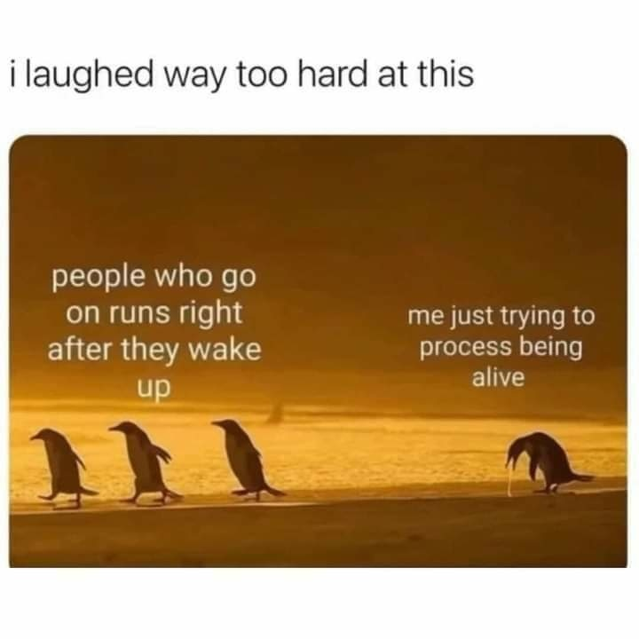 1748690293422.png