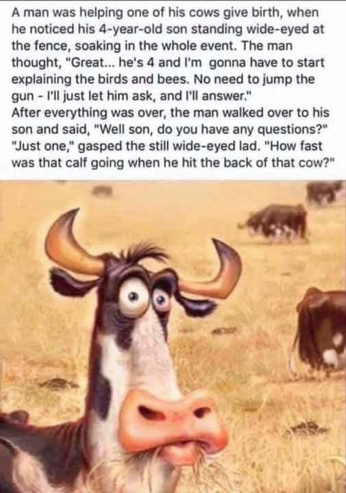 1748792202816.png
