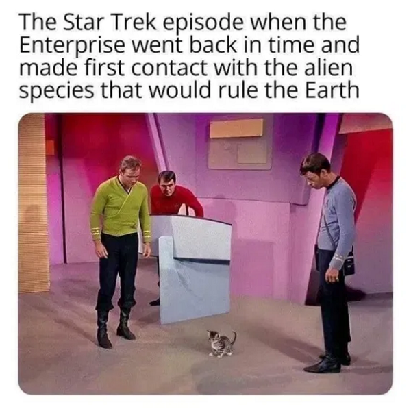 1748824055670.png