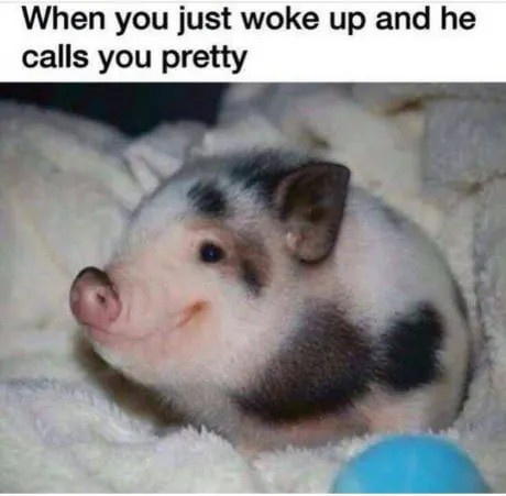 1748878000730.png